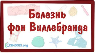 Болезнь фон Виллебранда — причины, симптомы, патогенез, диагностика, лечение