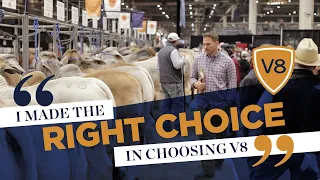 "I Made The Right Choice In Choosing V8" - Starting a Brahman Herd with V8 Genetics