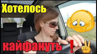 🎼🎹//Перепела народились//В питомник за растюхами//Как легко помыть машину