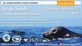 Gray Seals: Conservation and Fisheries