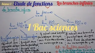 Etude de fonctions. séance 1. les branches infinies. 1 bac