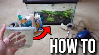 How To Setup a BETTA Fish Tank AQUARIUM!