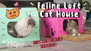 Eco-Friendly Feline Loft Cat House by Petique