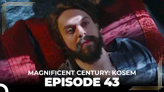 Magnificent Century: Kosem Episode 43 (English Subtitle)