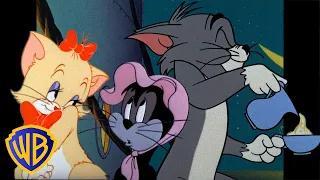 Tom y Jerry en Latino | ¡Gatos perrrrfectos! 😻 |  @WBKidsLatino