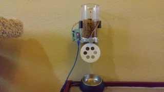 DIY Automated cat feeder