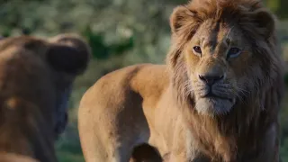 Simba Learns About The Pride Lands Scene | THE LION KING | Movie Scene (2019)