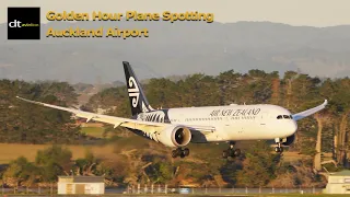 Golden Hour Plane Spotting Auckland | 4K60