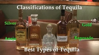 Classifications of Tequila  Best Types of Tequila  Difference Between Tequilas