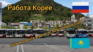 Работа в Корее | Лёгкая работа |Жизнь в Южной Корее 2021г