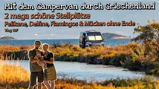 Mega Schlafplätze, Pelikane, Delfine, Flamingos und Mücken | CampervanRundreise Griechenland VLOG19f