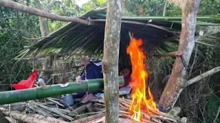 SOLO CAMPING. MEMBUAT SHELTER DI POHON DI TENGAH HUTAN YANG LEBAT. PERAPIAN YANG HANGAT.