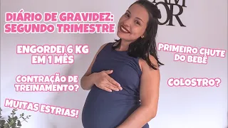 DIÁRIO DE GRAVIDEZ: SEGUNDO TRIMESTRE (ENGORDEI 6 KG EM 1 MÊS, COLOSTRO, CONTRAÇÃO DE TREINAMENTO)