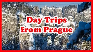 5 Top-Rated Day Trips from Prague, Czech Republic | Europe Day Tours guide