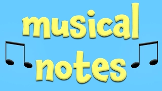 Musical Notes!  Learning about music for Kids