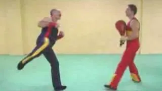 Savate Español