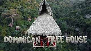 The most epic hotel in SAMANA | DOMINICAN TREE HOUSE