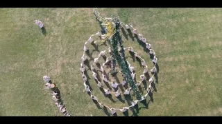 Midsommar - Maypole Dance Edit ( Lace Shawl - The Secret Botanist )