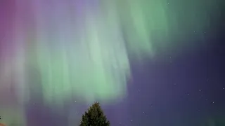 Northern Lights in West Kelowna May 10 2024 #shortsvideo #shortvideoviral #okanaganlife #weather