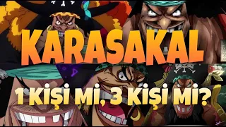 One Piece Teori: Karasakal'ın Büyük Sırrı