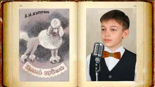 Белый пудель - Александр Куприн (диафильм)