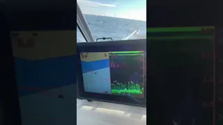 Эхолот Lowrance Elite FS 9. Активность.