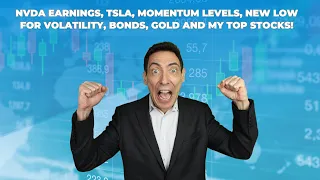 NVDA, TSLA, Momentum Levels, New Low for Volatility, Bonds, Gold and My Top Stocks!