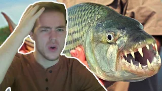 Fish Biologist reacts to "Dangerous Fish to Avoid"