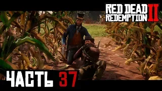 ОХОТА НА ФОКУСНИКОВ - прохождение Red Dead Redemption 2 часть 37