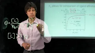 Topic 6.10 - Saturation of protein binding sites