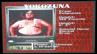 WWF RAW - Sega Genesis Cheat Codes - PART 2