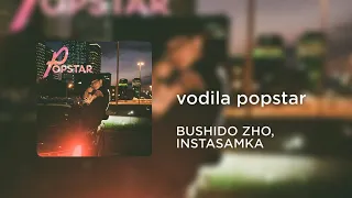 BUSHIDO ZHO, INSTASAMKA - vodila popstar (mashup)