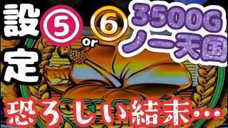 【沖ドキゴールド】設定⑤が恐ろしい挙動だという事をカメラに収めました‼