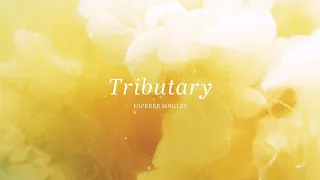 Tributary - Steven Mudd "Espérer: Solo Piano"
