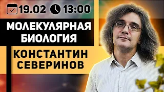 Константин Северинов. Тесты на отцовство, криминалистика и геном.