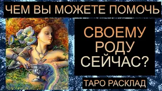 ЧЕМ ВЫ МОЖЕТЕ ПОМОЧЬ СВОЕМУ РОДУ СЕЙЧАС?? #таро #таросегодня #таропрогноз