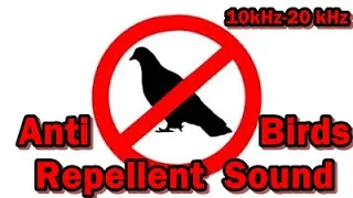 Anti Birds Repellent Sound - 10kHz -20kHz #chase the bird away #avoid bird #stop bird