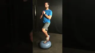 5 67 BOSU Lunge Step Up