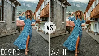 Canon EOS R6 VS Sony A7 III CAMERA COMPARISON | Canon R6