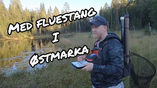 Med fluestang i Østmarka