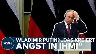 WLADIMIR PUTIN: "Das ist ein völlig rotes Tuch für ihn! Das kreiert Angst in ihm!"