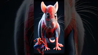 Superheroes But Rat 💥 Avengers vs DC - All Marvel Characters #avengers #shorts #marvel #dc