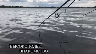 Высокополье. Знакомство