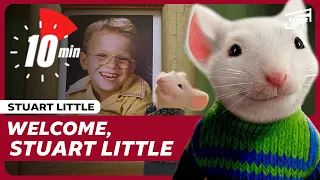 The Little Family Just Got Bigger | Stuart Little: First 10 Minutes