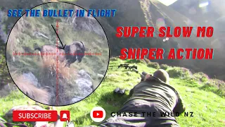 LONG RANGE SNIPER ACTION | SUPER SLOW MOTION HUNTING IMPACTS | SEE THE BULLET IN FLIGHT  400+ METRES