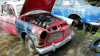 Volvo Amazon 122S infestation?