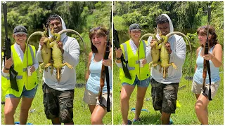 .22 Cal Air Rifle iguana Hunting Catch Clean And Cook! Fried Iguana Nuggets!!