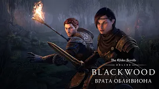 The Elder Scrolls Online: представляем спутников