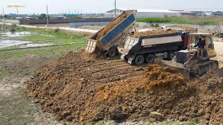 The New Project​ Using machinery ​ KOMATS'U D41P  Dozer Pushing soil In Rice Field​​