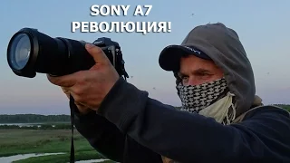 Полнокадровый беззеркальный фотоаппарат Sony A7 - настоящая революция!